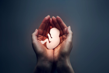 ABORTION LAW IN INDIA